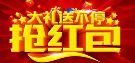 日照飛斯特