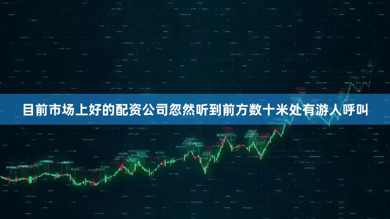 目前市场上好的配资公司忽然听到前方数十米处有游人呼叫